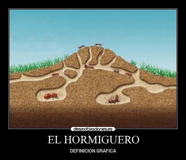 EL HORMIGUERO - 