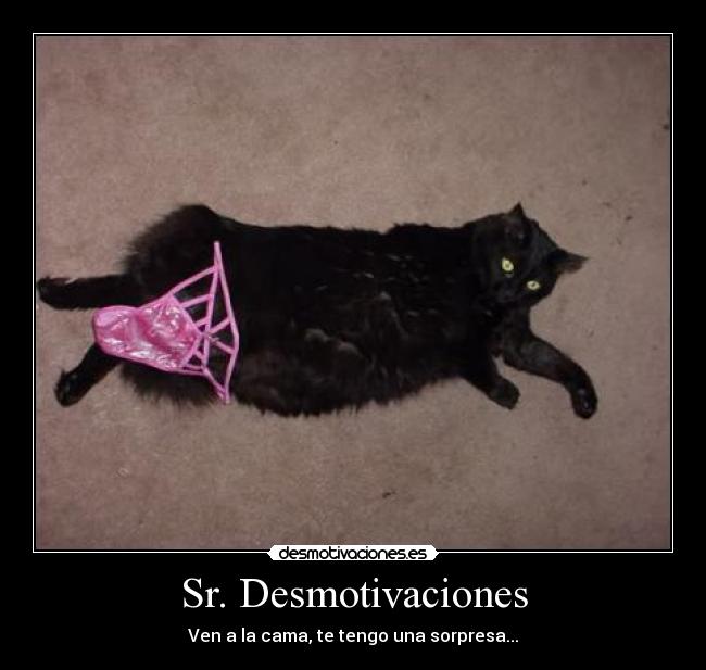 Sr. Desmotivaciones -
