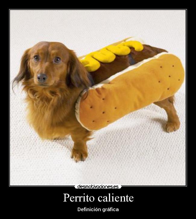Perrito caliente - Definición gráfica