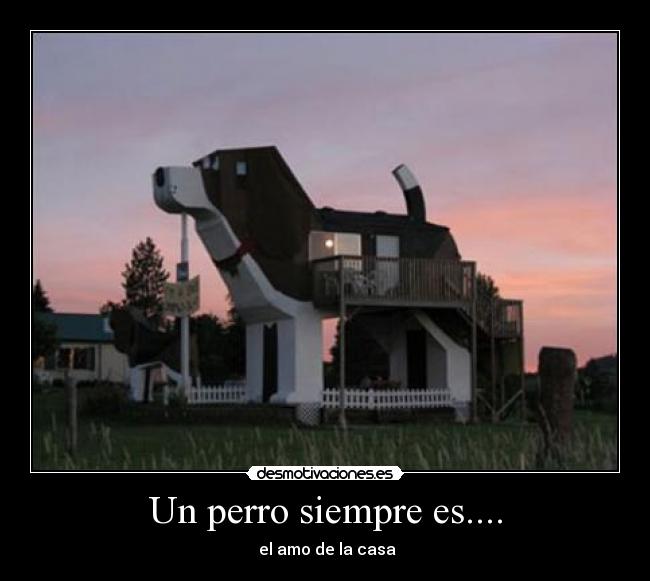 Un perro siempre es.... - el amo de la casa