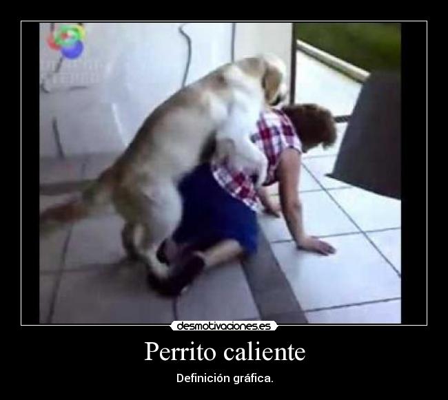 Perrito caliente - 