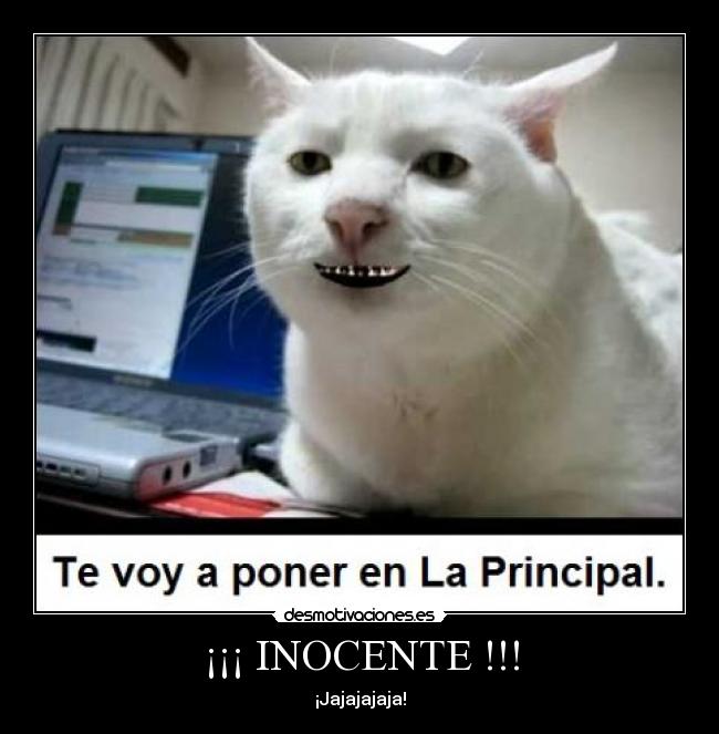 ¡¡¡ INOCENTE !!! - 