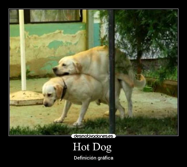 Hot Dog - Definición gráfica