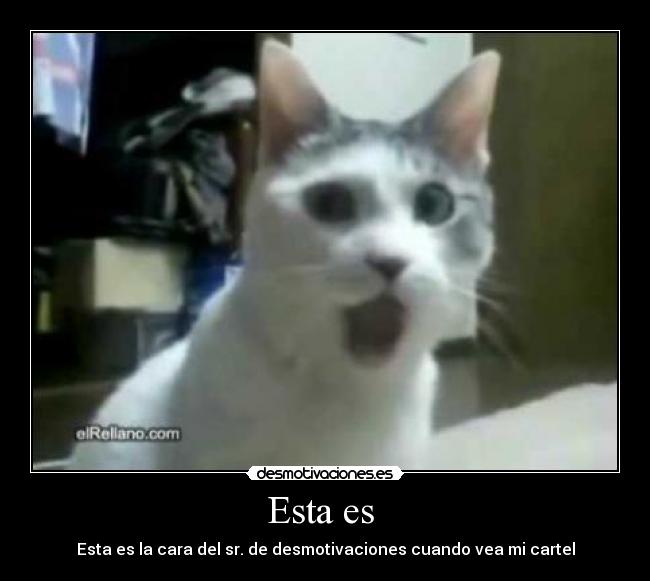 carteles srdesmotivaciones desmotivaciones