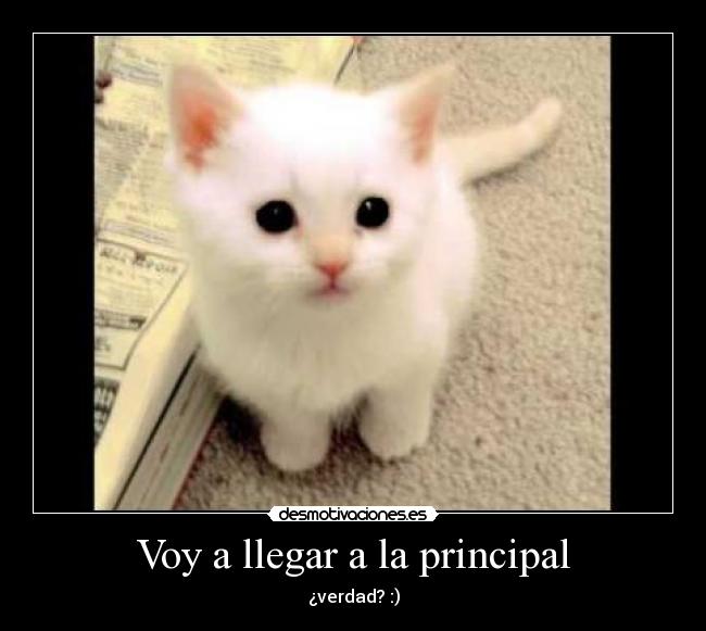 Voy a llegar a la principal -
