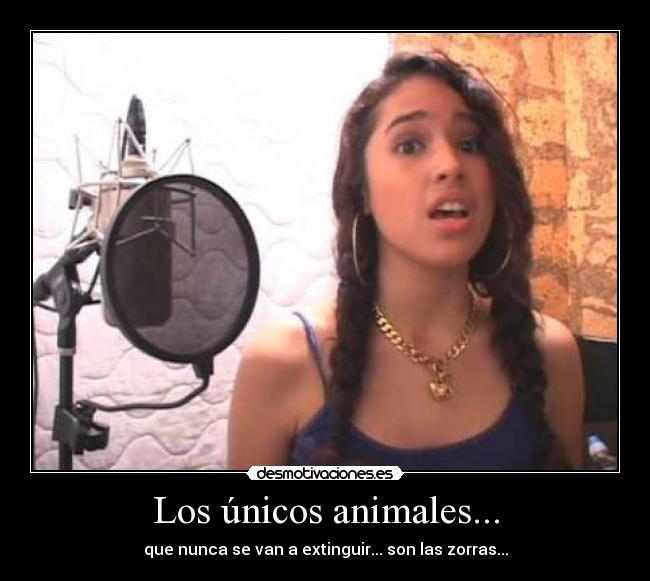 Los únicos animales... - 