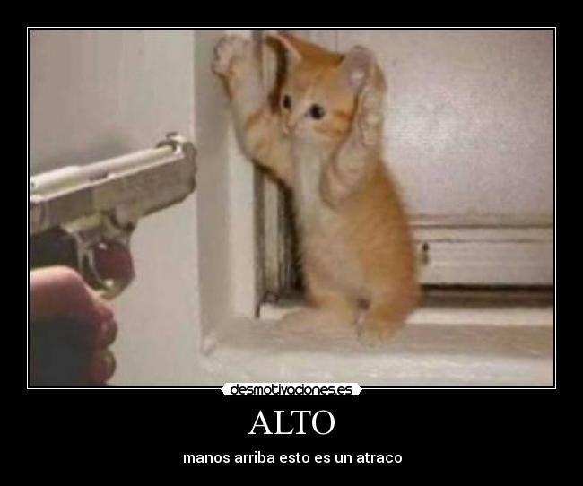 ALTO - manos arriba esto es un atraco