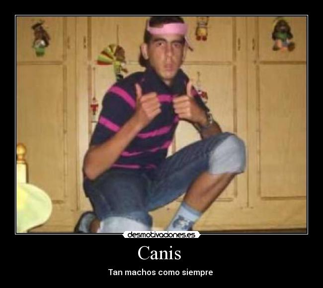 Canis - Tan machos como siempre