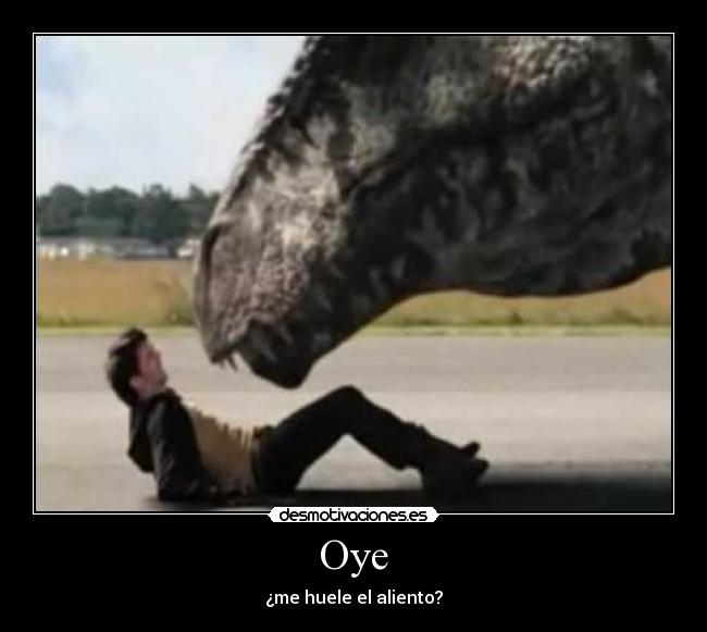 Oye -