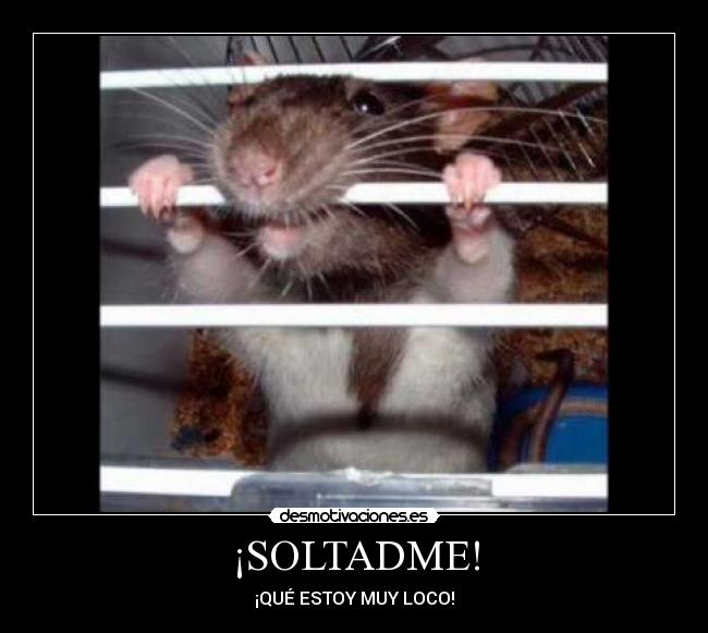 ¡SOLTADME! - ¡QUÉ ESTOY MUY LOCO!