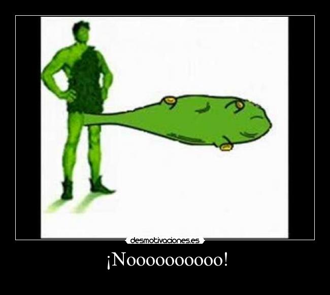 ¡Noooooooooo! -