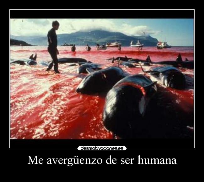 Me avergüenzo de ser humana - 