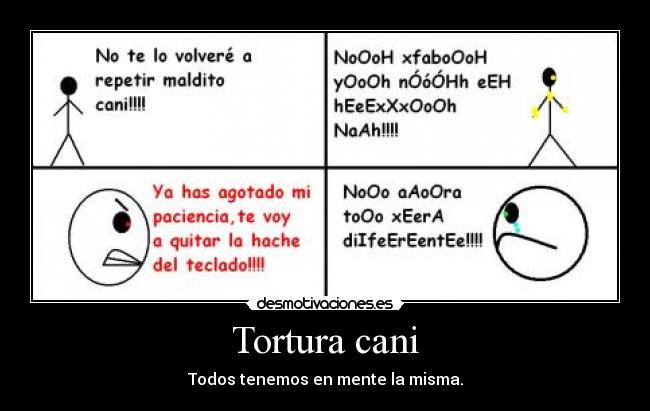 Tortura cani - 