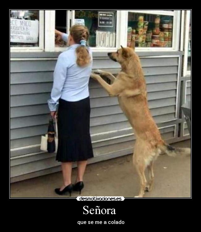 Señora - que se me a colado