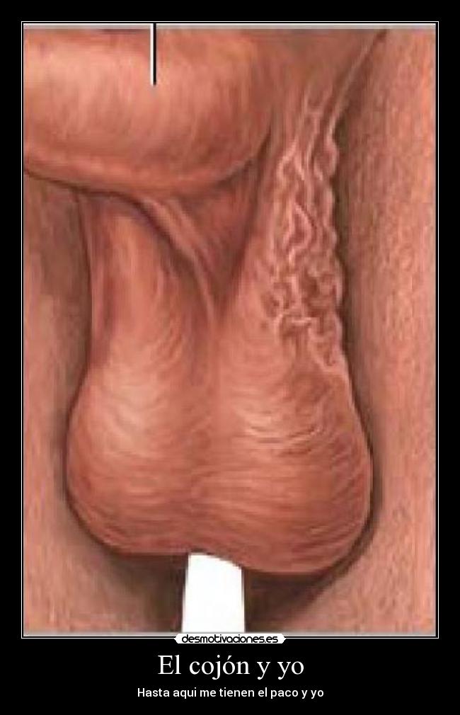El cojón y yo -