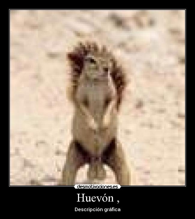 Huevón , -