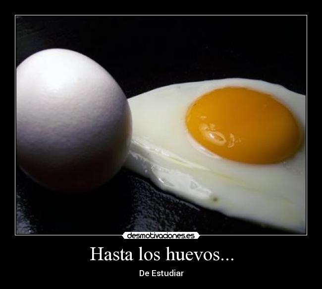 Hasta los huevos... - De Estudiar