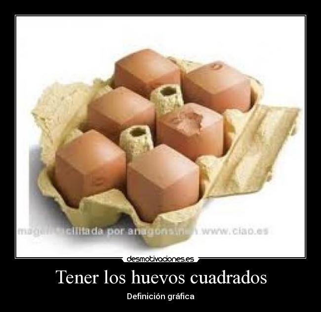 Tener los huevos cuadrados - Definición gráfica