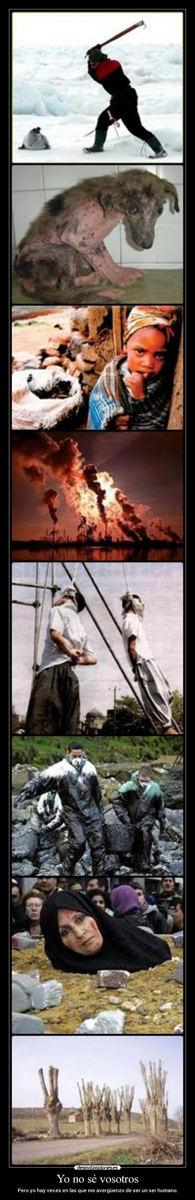 Yo no sé vosotros - Pero yo hay veces en las que me avergüenzo de ser un ser humano.