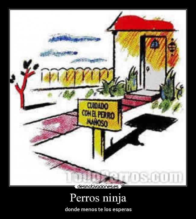Perros ninja -