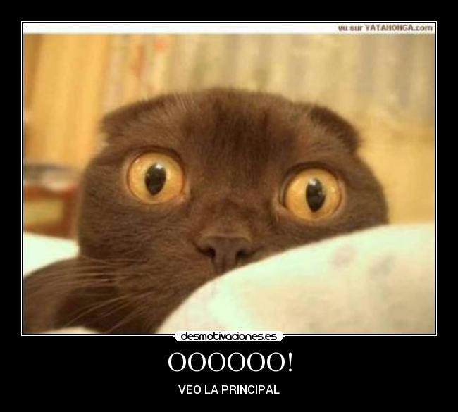 carteles oooooo desmotivaciones