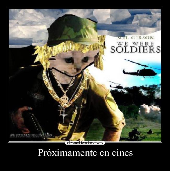 carteles gatohumororoguerragatitoxdetc desmotivaciones