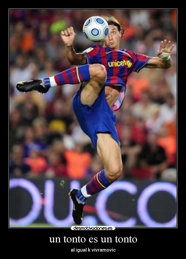 carteles tonto tonto for p madre desmotivaciones