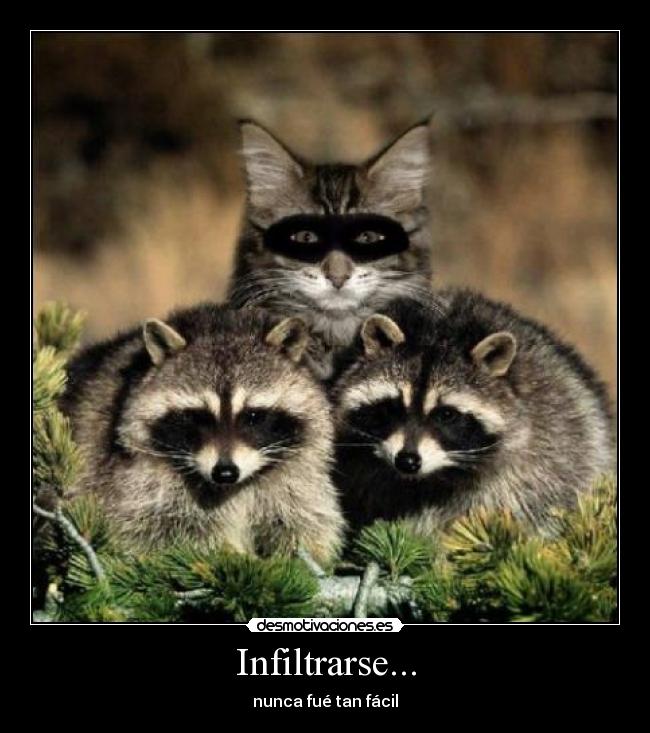 Infiltrarse... - 