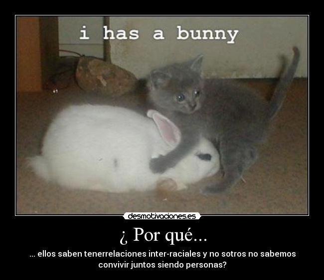 carteles kikonazos relaciones inter-racial racial desmotivaciones