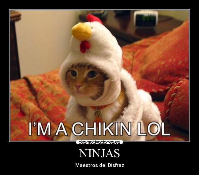 NINJAS - Maestros del Disfraz