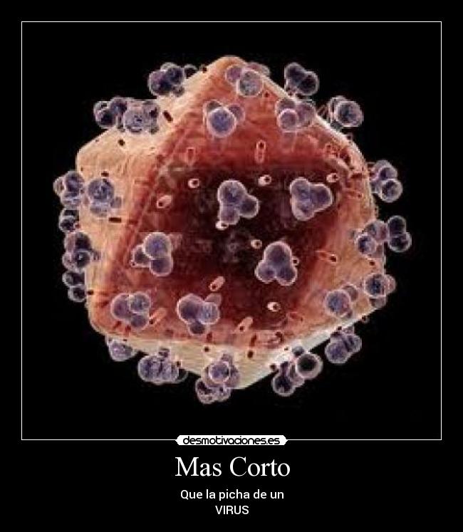 Mas Corto - Que la picha de un
VIRUS