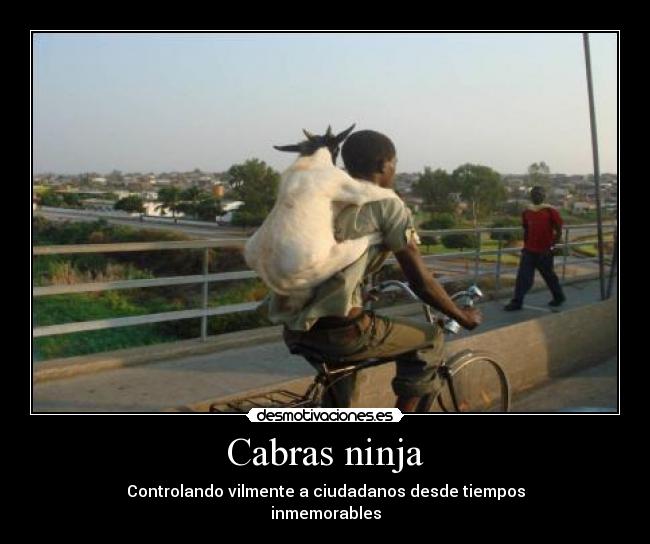 Cabras ninja - Controlando vilmente a ciudadanos desde tiempos
inmemorables