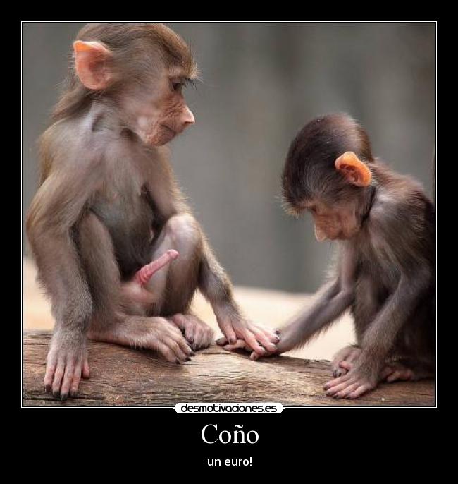 Coño -