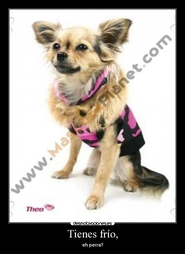 Tienes frío, -