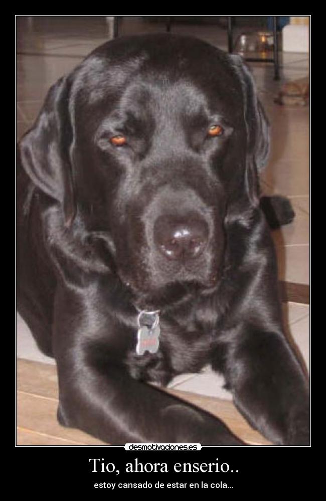 Tio, ahora enserio.. -