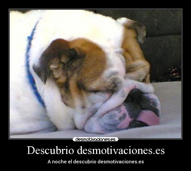 Descubrio desmotivaciones.es - A noche el descubrio desmotivaciones.es
