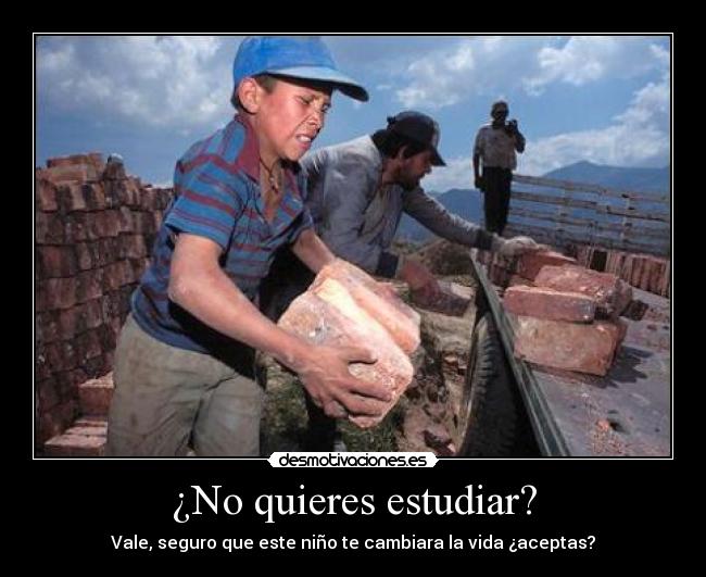 ¿No quieres estudiar? -