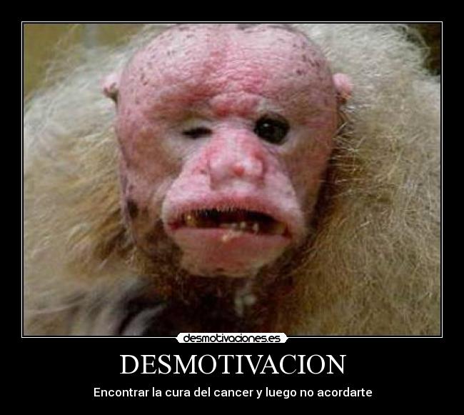DESMOTIVACION - 
