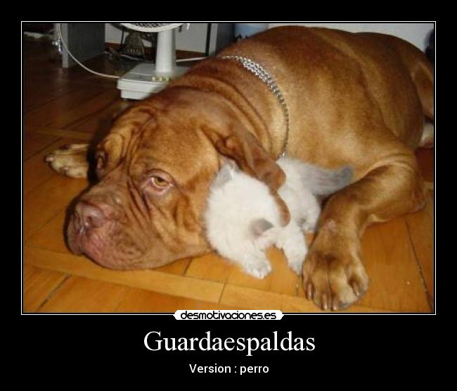 Guardaespaldas -