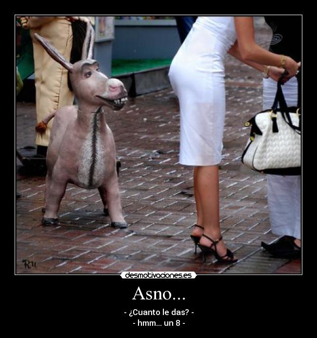 Asno... - - ¿Cuanto le das? -
- hmm... un 8 -