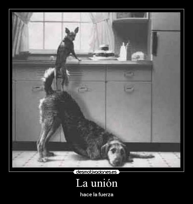 La unión - hace la fuerza