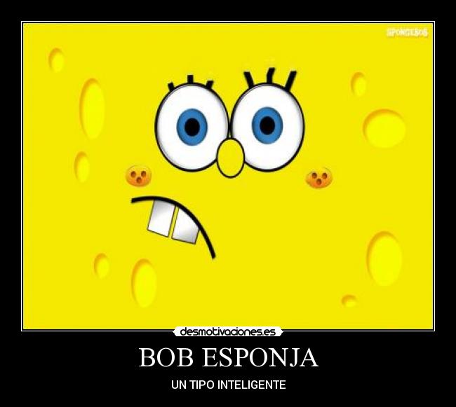 BOB ESPONJA - 