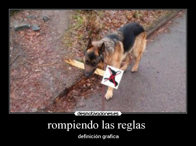 rompiendo las reglas  - 