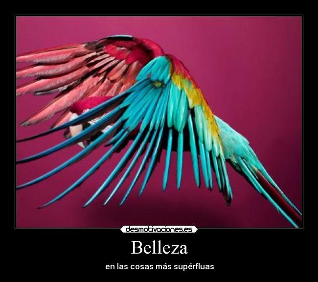 Belleza - en las cosas más supérfluas