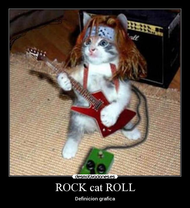 ROCK cat ROLL - 