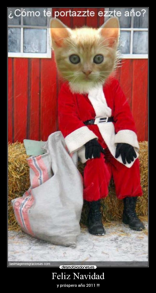 Feliz Navidad - y próspero año 2011 !!!