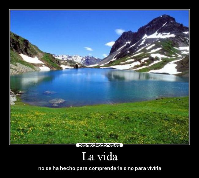 La vida -