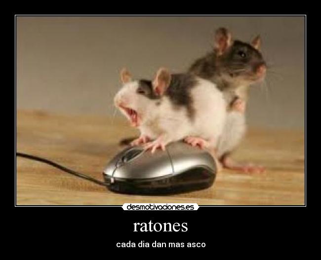 ratones - 
