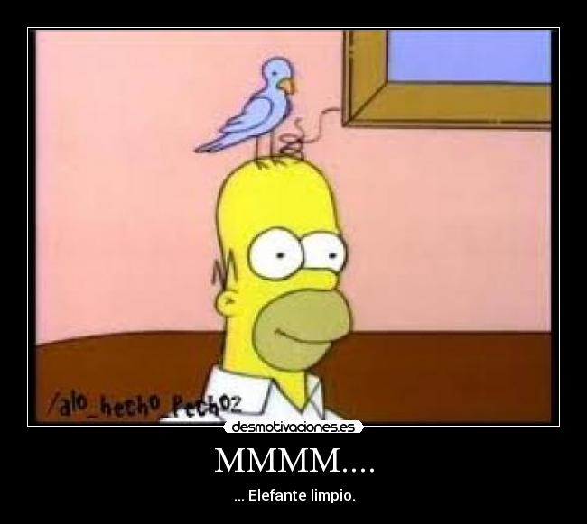MMMM.... - ... Elefante limpio.