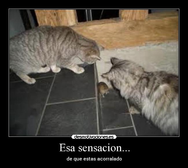 Esa sensacion... - 